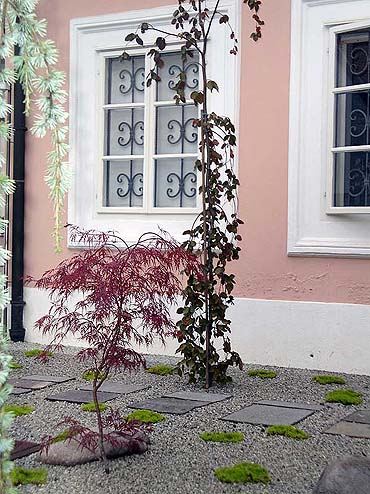 entrada a la vivienda (zen)